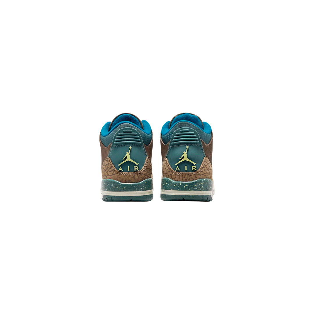 Air Jordan Retro 3 GS "We Outside"