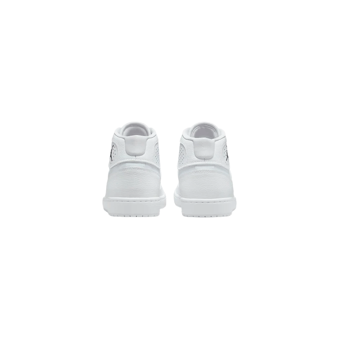 Air Jordan Access "White"