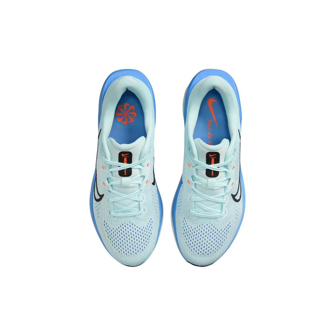 Nike Womens Quest 6 "Blue"