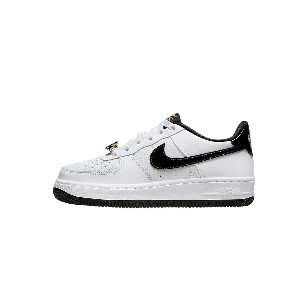 Nike Air Force 1 Low “World Champions”