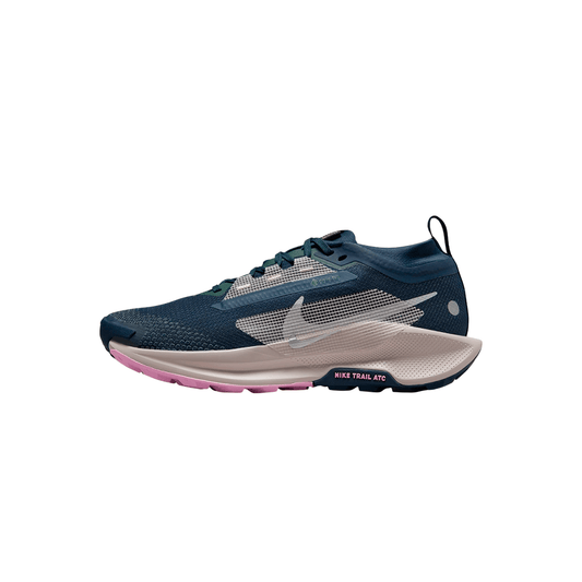 Nike Pegasus Trail 5 GORE-TEX "Black Wolf Grey"