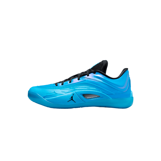 Jordan Zion 4 "Iridescence"