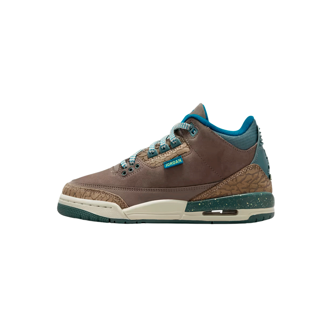 Air Jordan Retro 3 GS "We Outside"