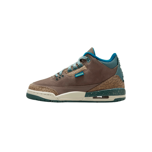 Air Jordan Retro 3 GS "We Outside"