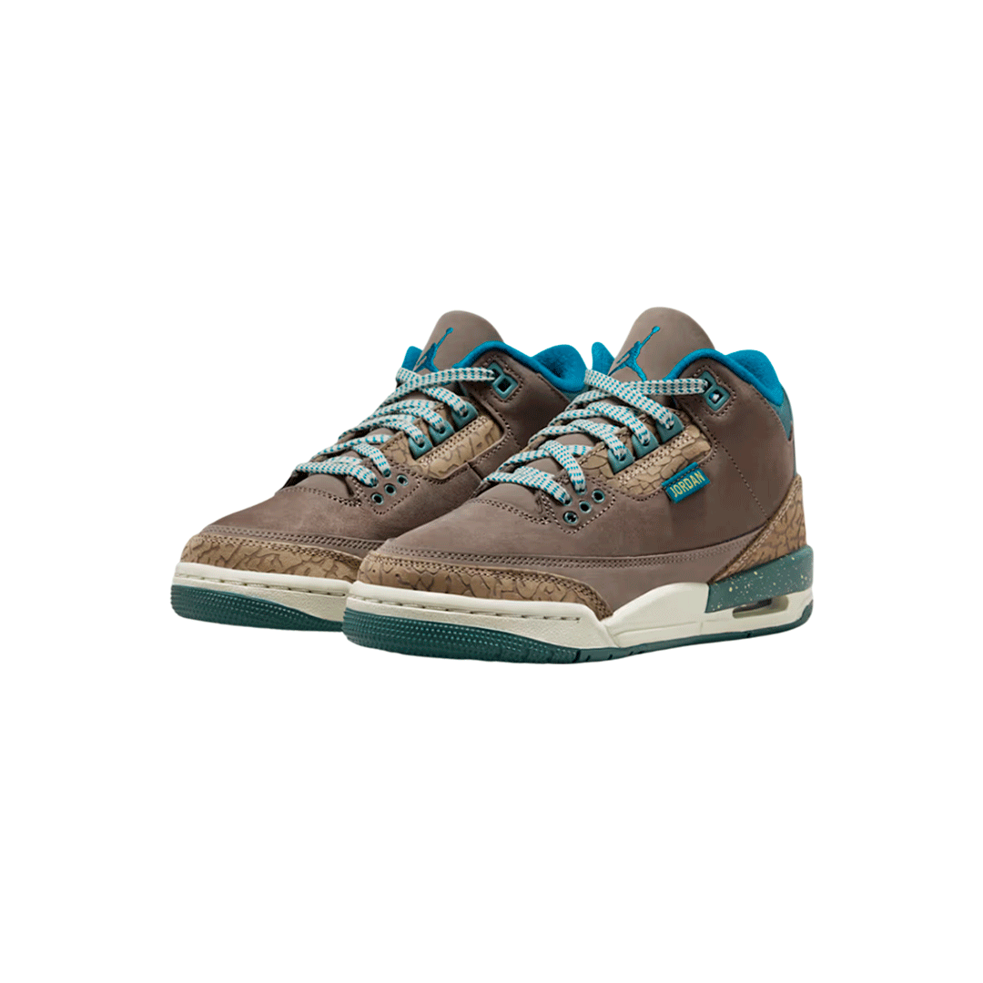 Air Jordan Retro 3 GS "We Outside"