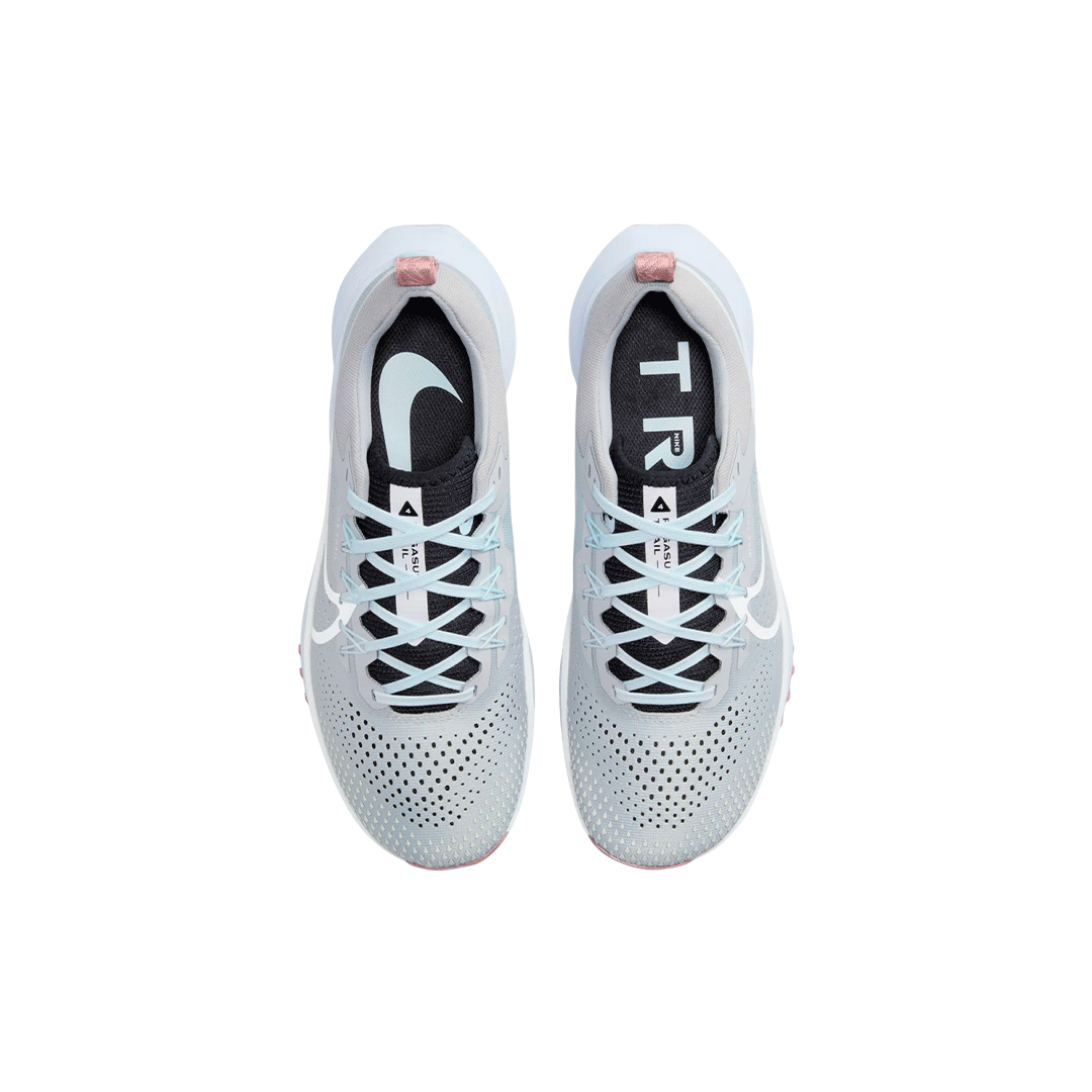 Nike Pegasus Trail 4 "Ligh Smoke Grey"