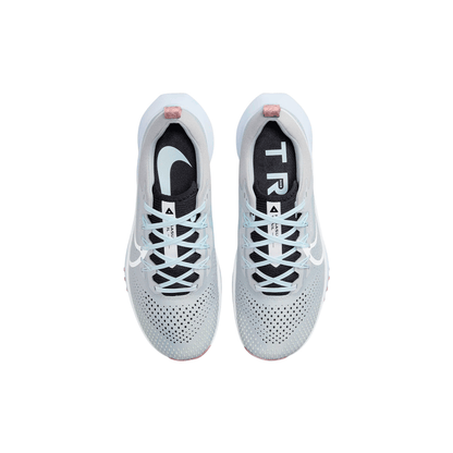Nike Pegasus Trail 4 "Ligh Smoke Grey"