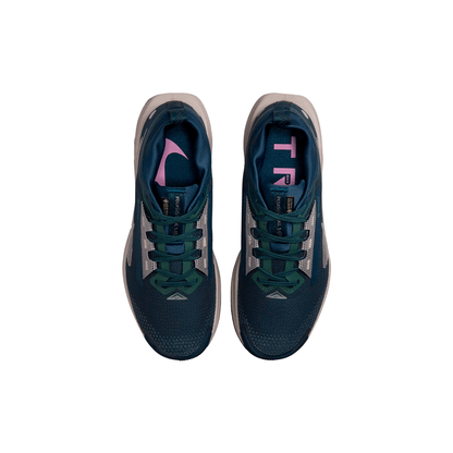 Nike Pegasus Trail 5 GORE-TEX "Black Wolf Grey"