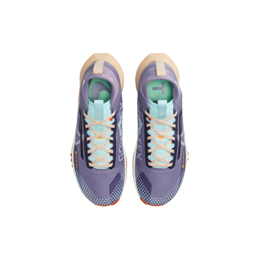 Nike Pegasus Trail 4 GORE-TEX "Glacier Blue"