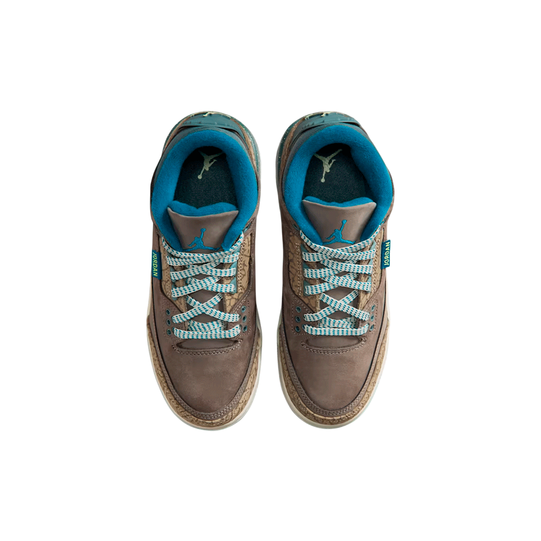 Air Jordan Retro 3 GS "We Outside"