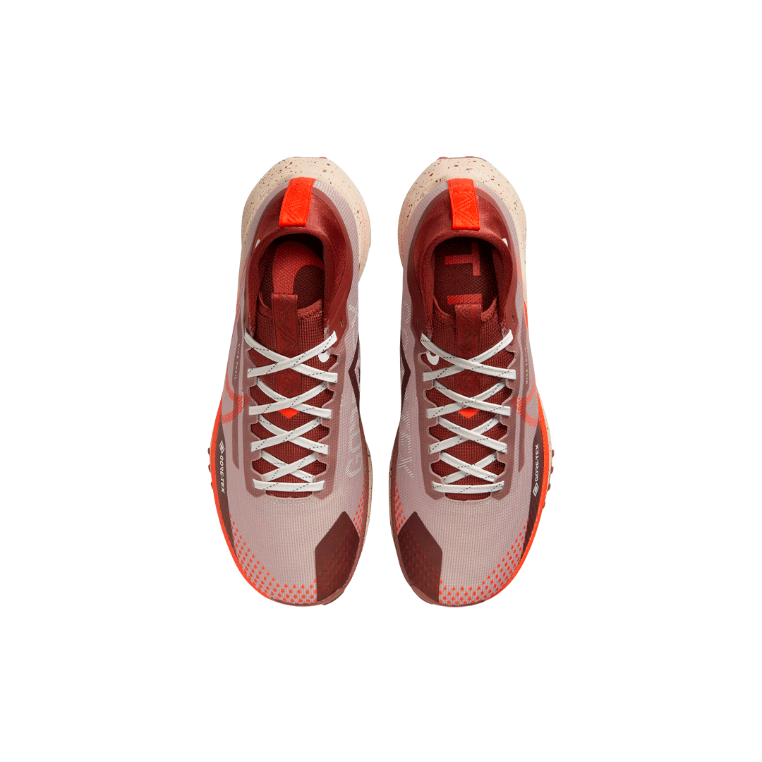 Nike Pegasus Trail 4 GORETEX "Diffused Taupe"
