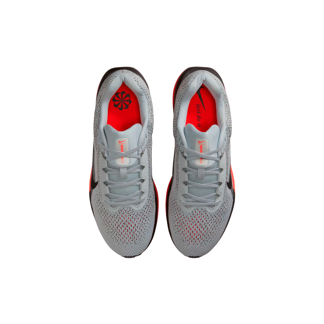 Nike Winflo 11 "Pure Platinum"