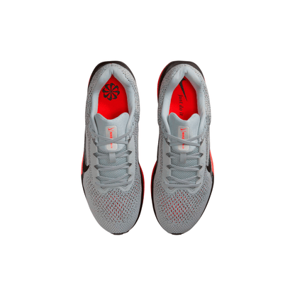 Nike Winflo 11 "Pure Platinum"