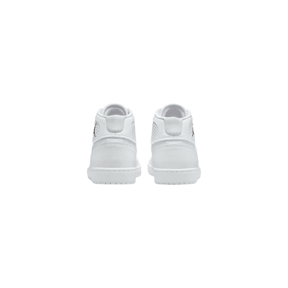 Air Jordan Access "White"